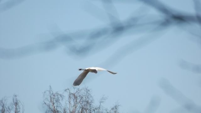 DSCF0314